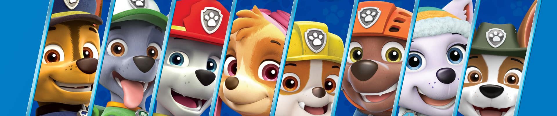 Paw Patrol Spin Master